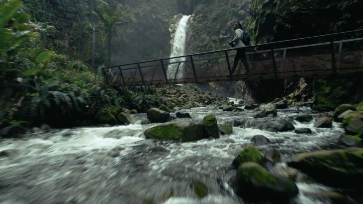 Gamut Immersion LUTs