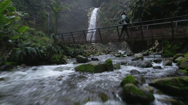 Gamut Immersion LUTs