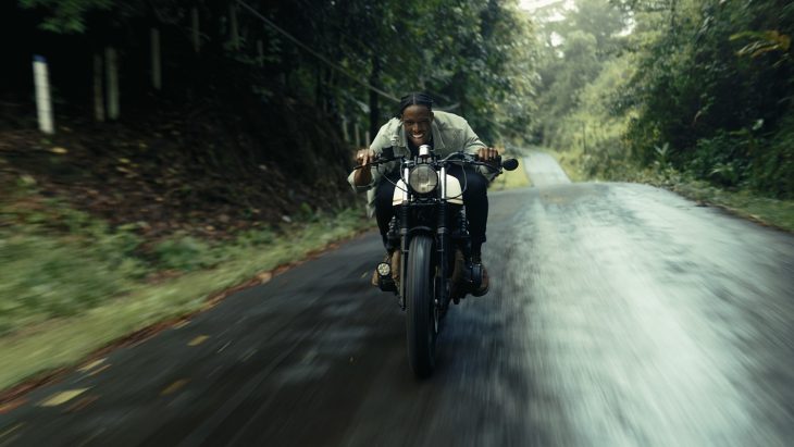 Gamut Immersion LUTs