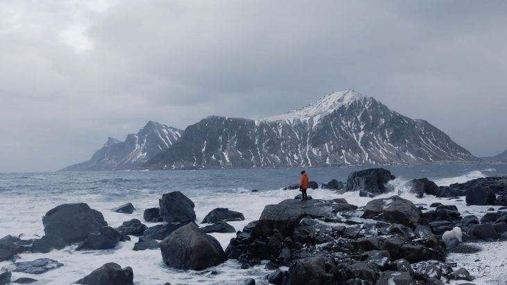 Gamut Immersion LUTs