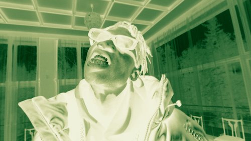 12 Thermographic LUTs