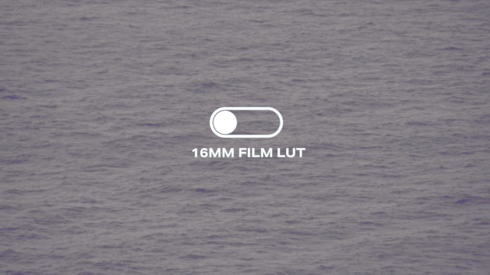 16MM FILM LUTS