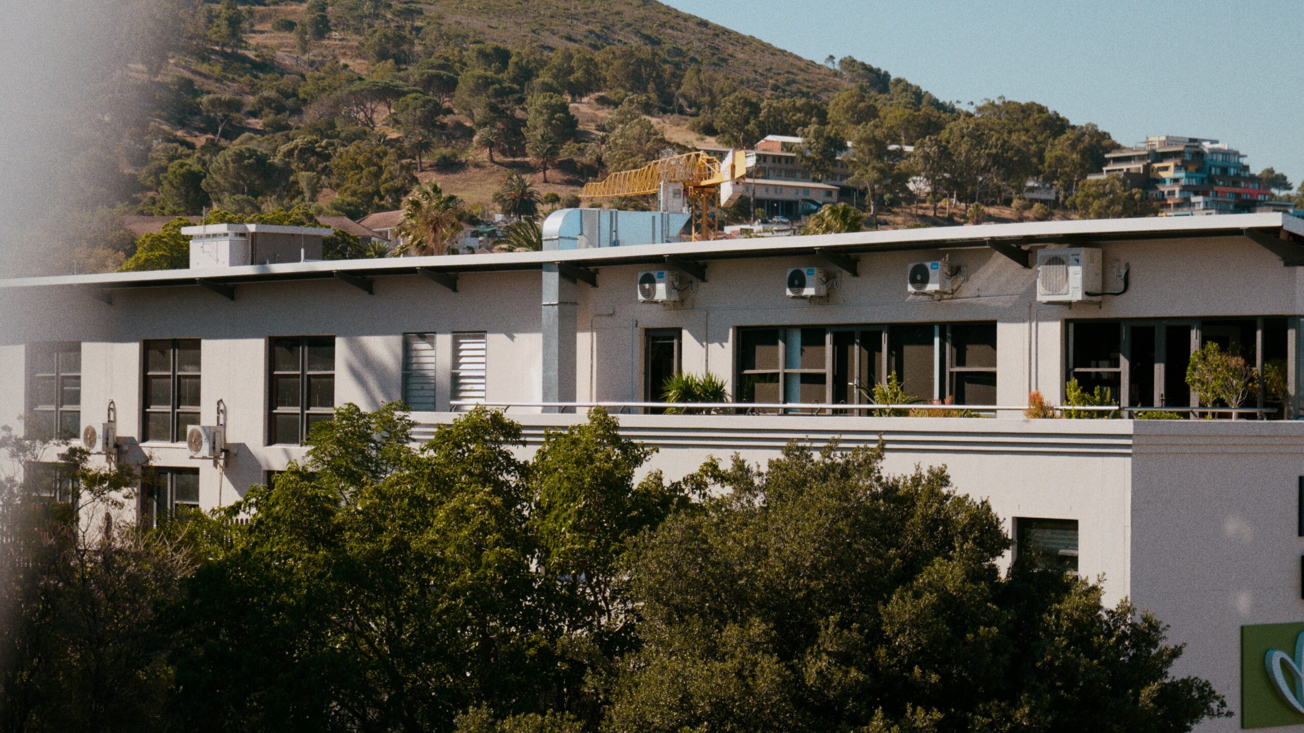 Vincent Color Daylight LUT Pack