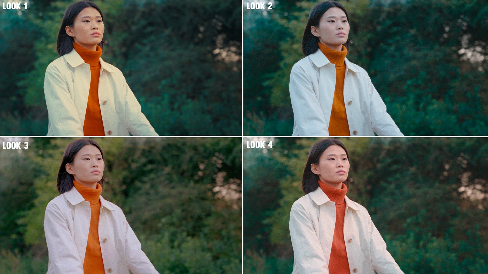 PowerGrade for Davinci Resolve Vincent ProGrade