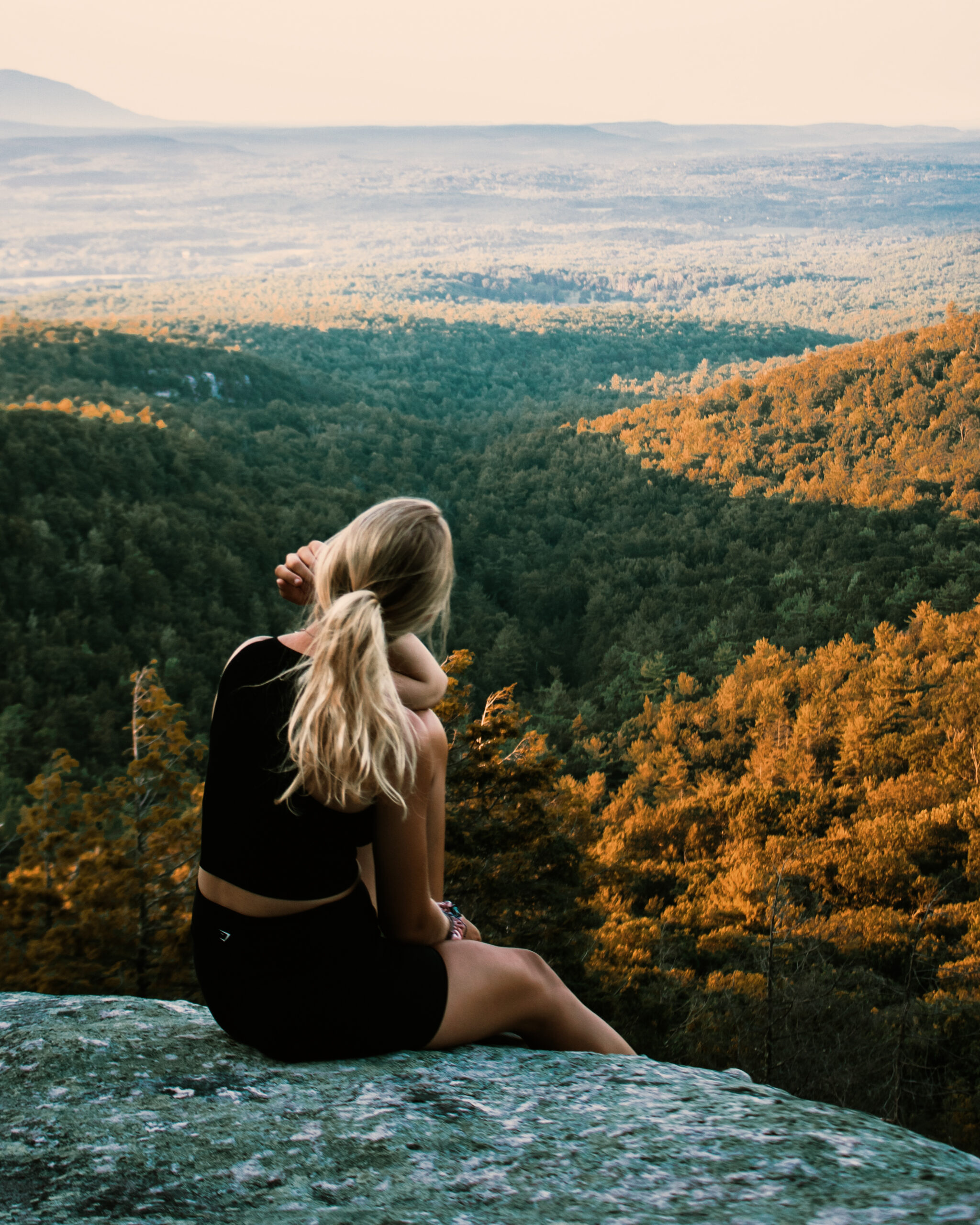 Cinematic Cocoa Green Film LUTS PACK for Videos