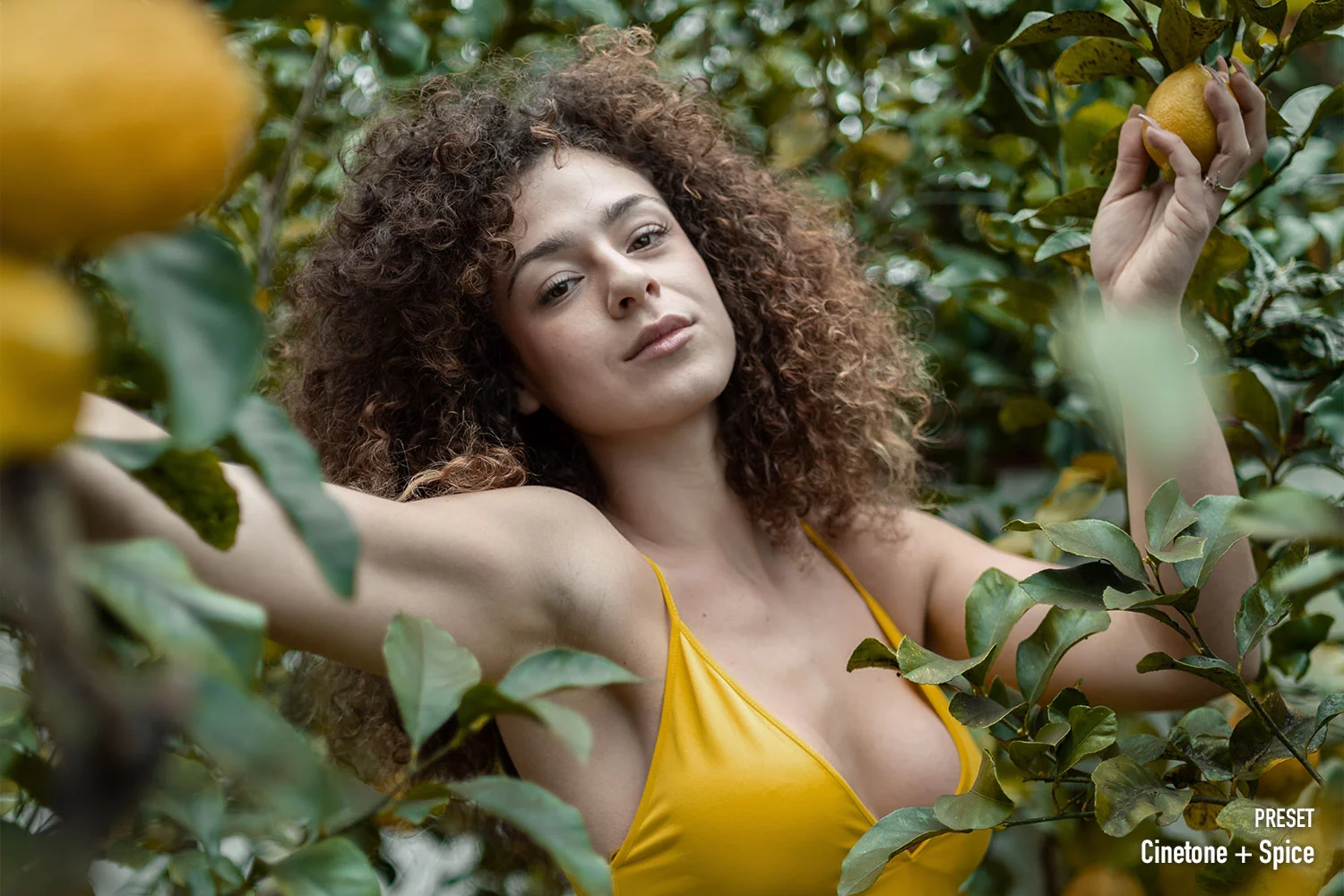 Mediterranea Creative LUTs Pack