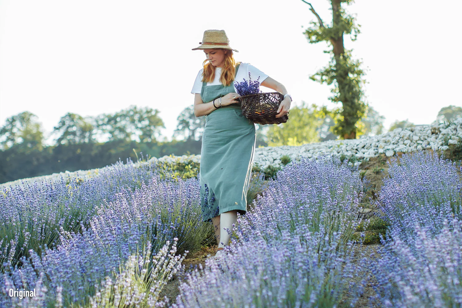 Mediterranea Creative LUTs Pack