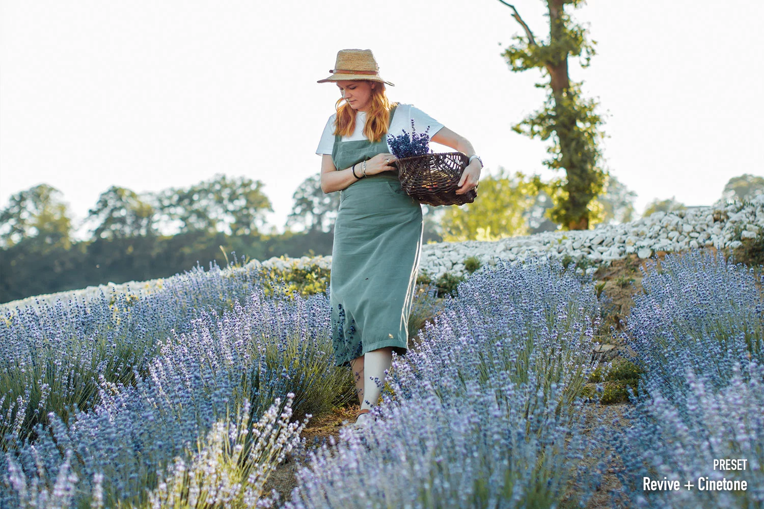 Mediterranea Creative LUTs Pack