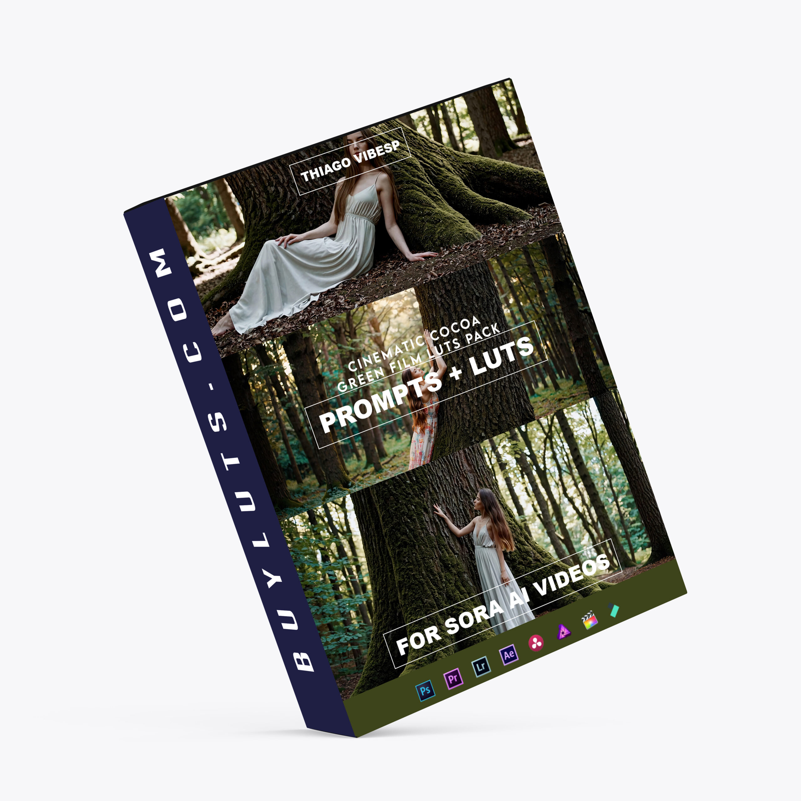 OpenAI Sora Videos Prompts and LUTs