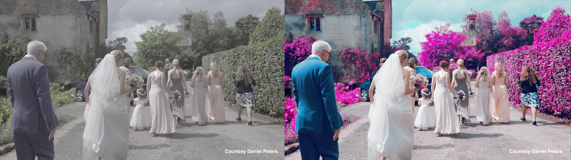 Cineplus Perfekta LUTs