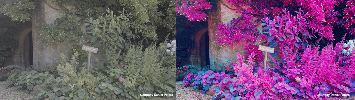 Cineplus Perfekta LUTs