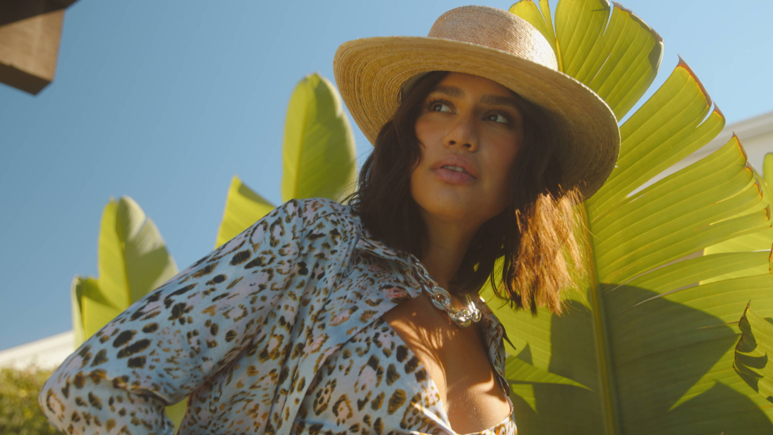 Carssuns Essential Presets