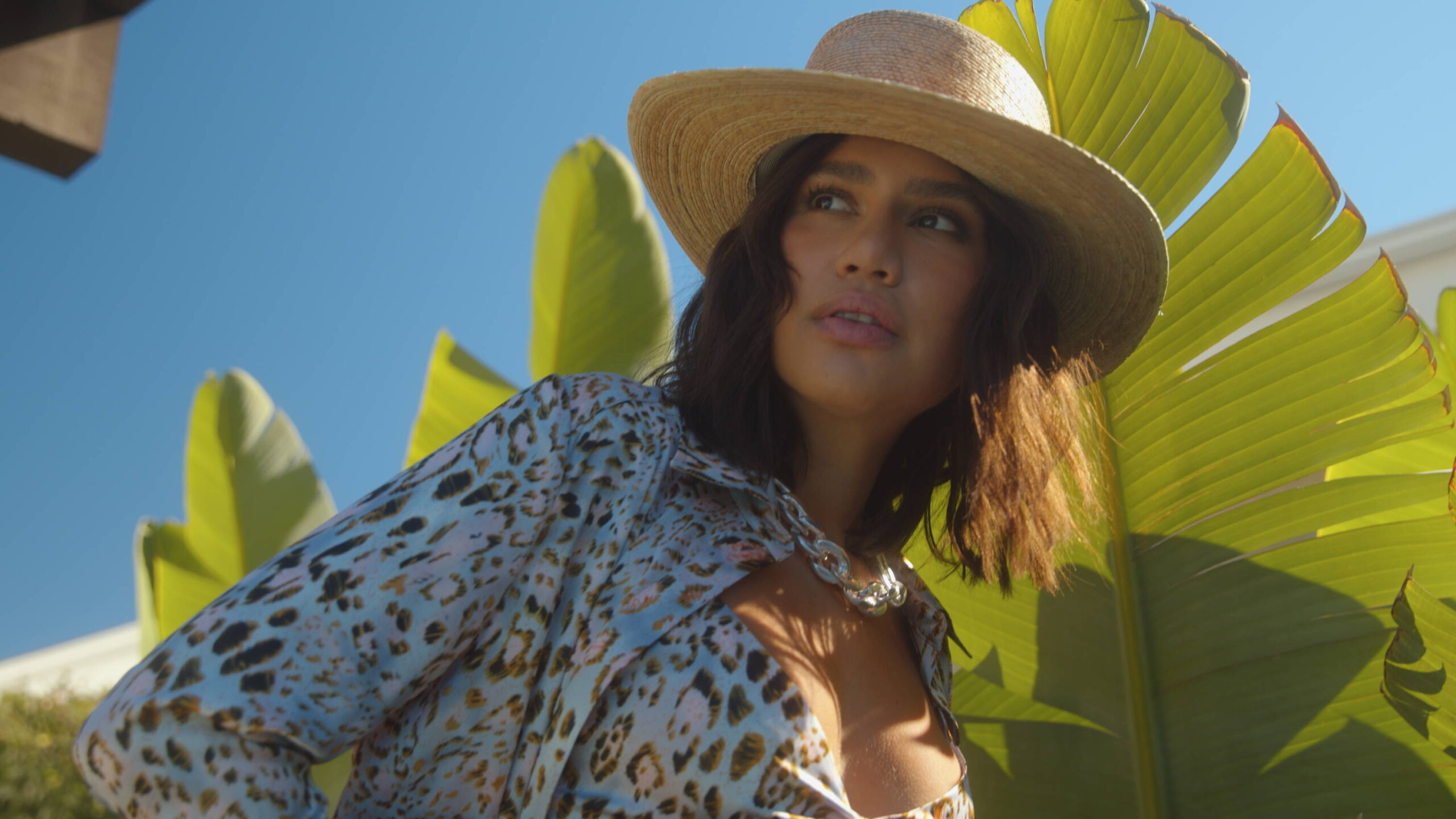 Carssuns Essential Presets