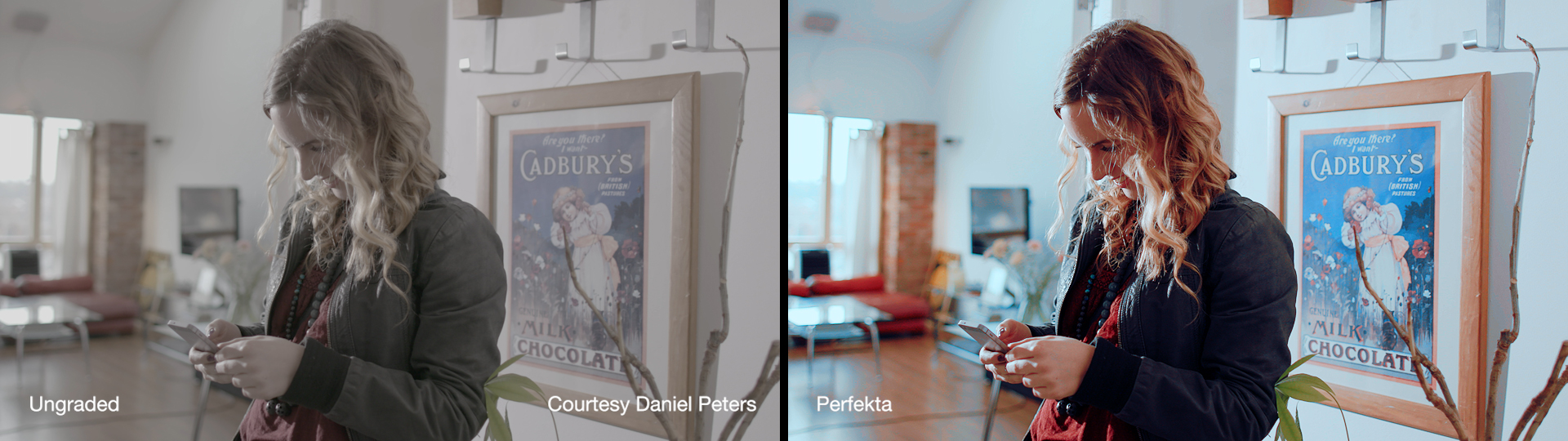 Cineplus Perfekta LUTs