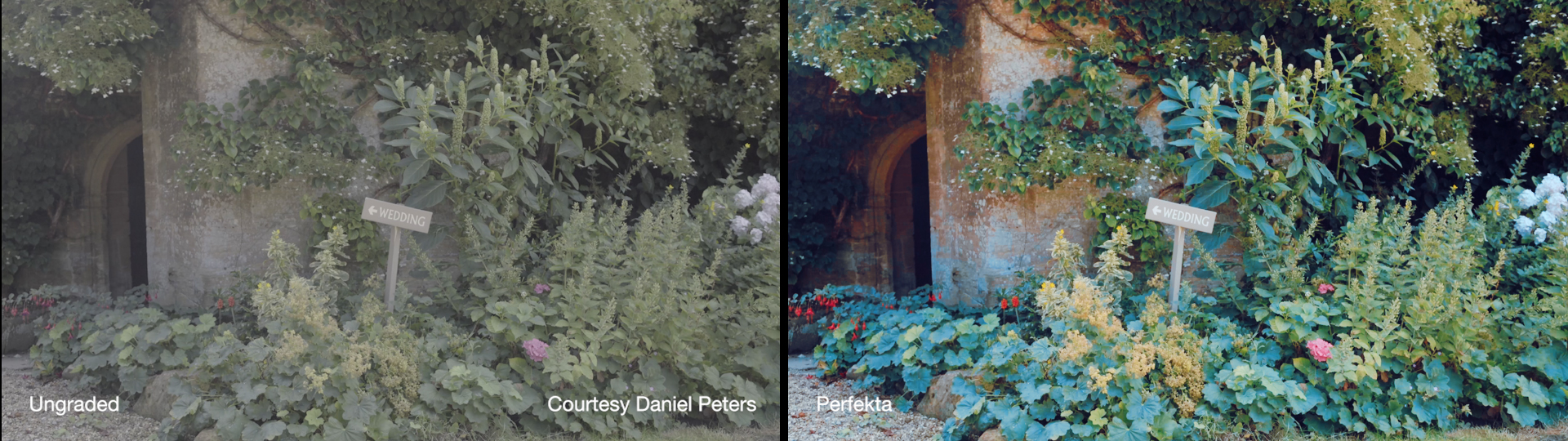 Cineplus Perfekta LUTs