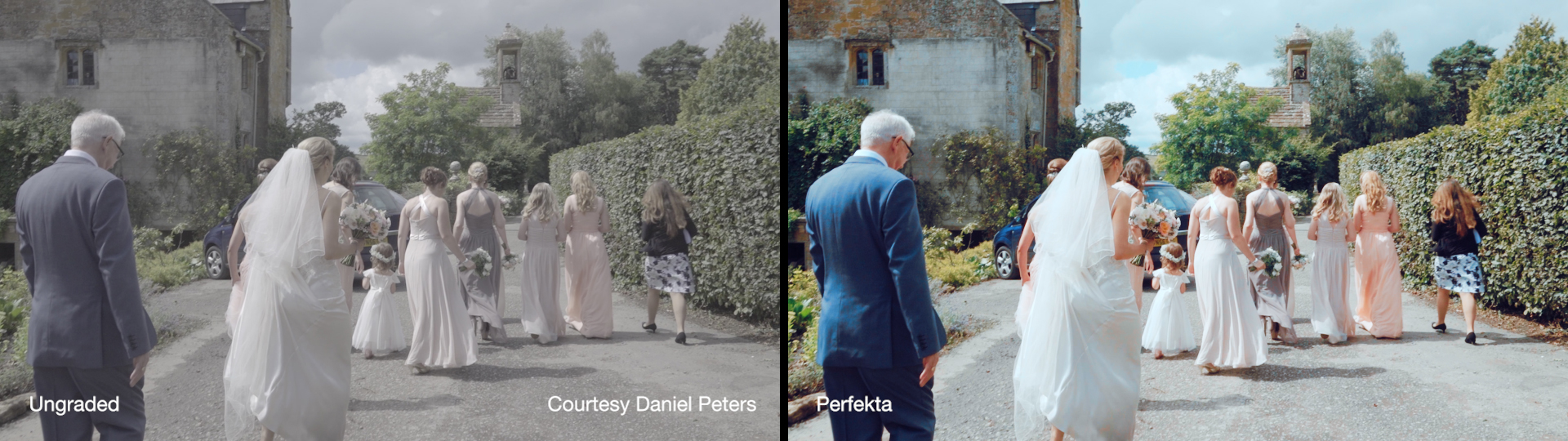 Cineplus Perfekta LUTs