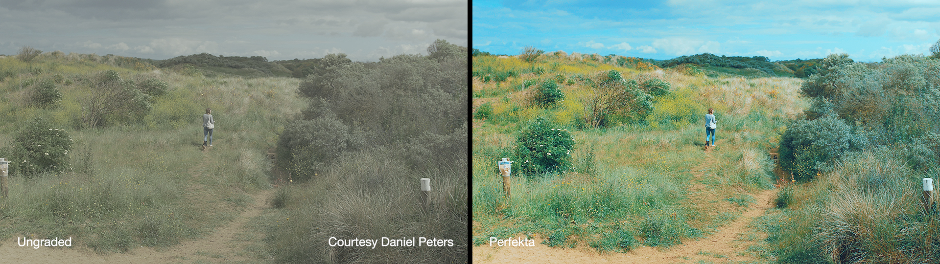 Cineplus Perfekta LUTs