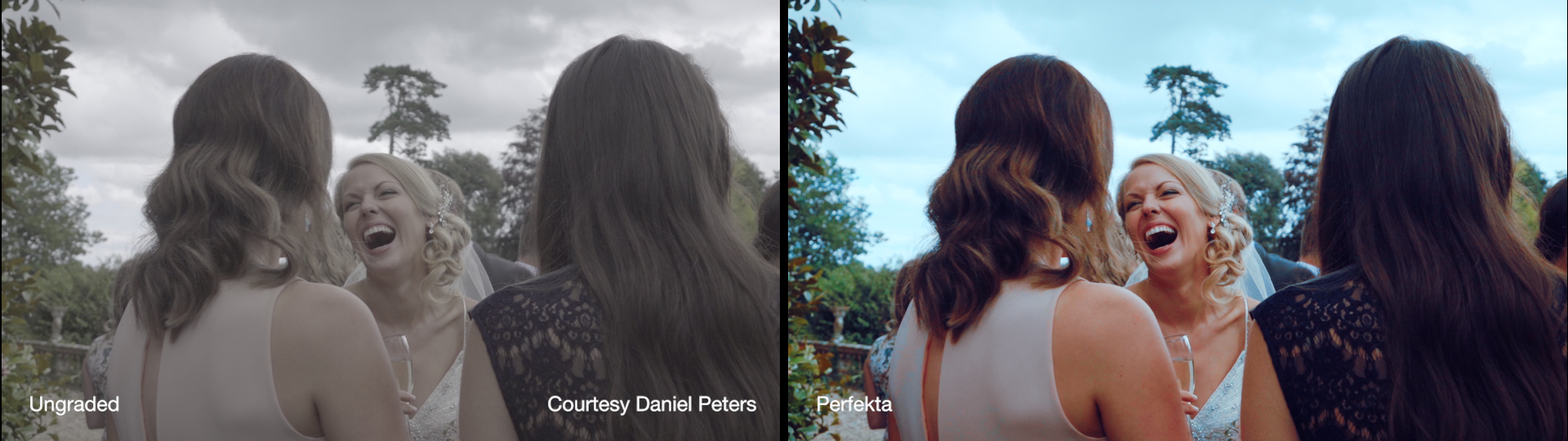 Cineplus Perfekta LUTs