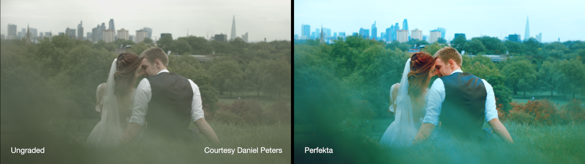 Cineplus Perfekta LUTs