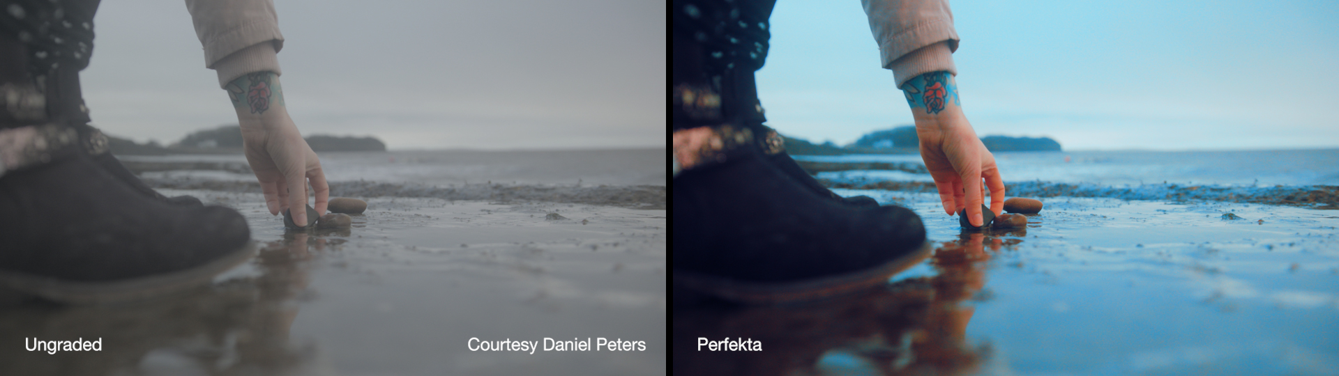 Cineplus Perfekta LUTs