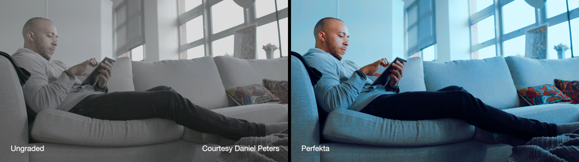 Cineplus Perfekta LUTs