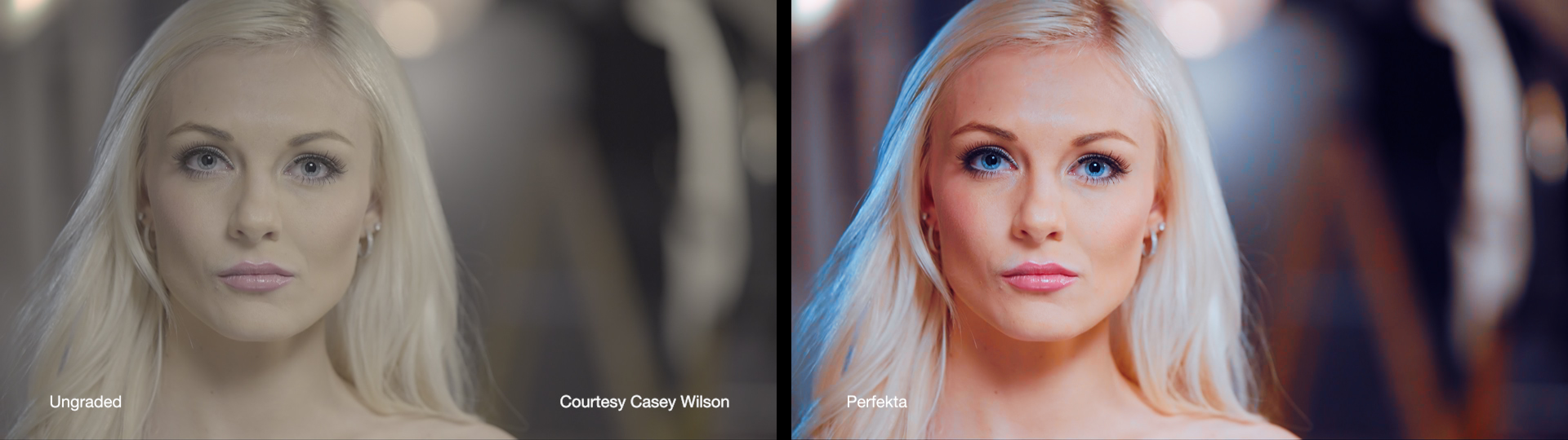 Cineplus Perfekta LUTs