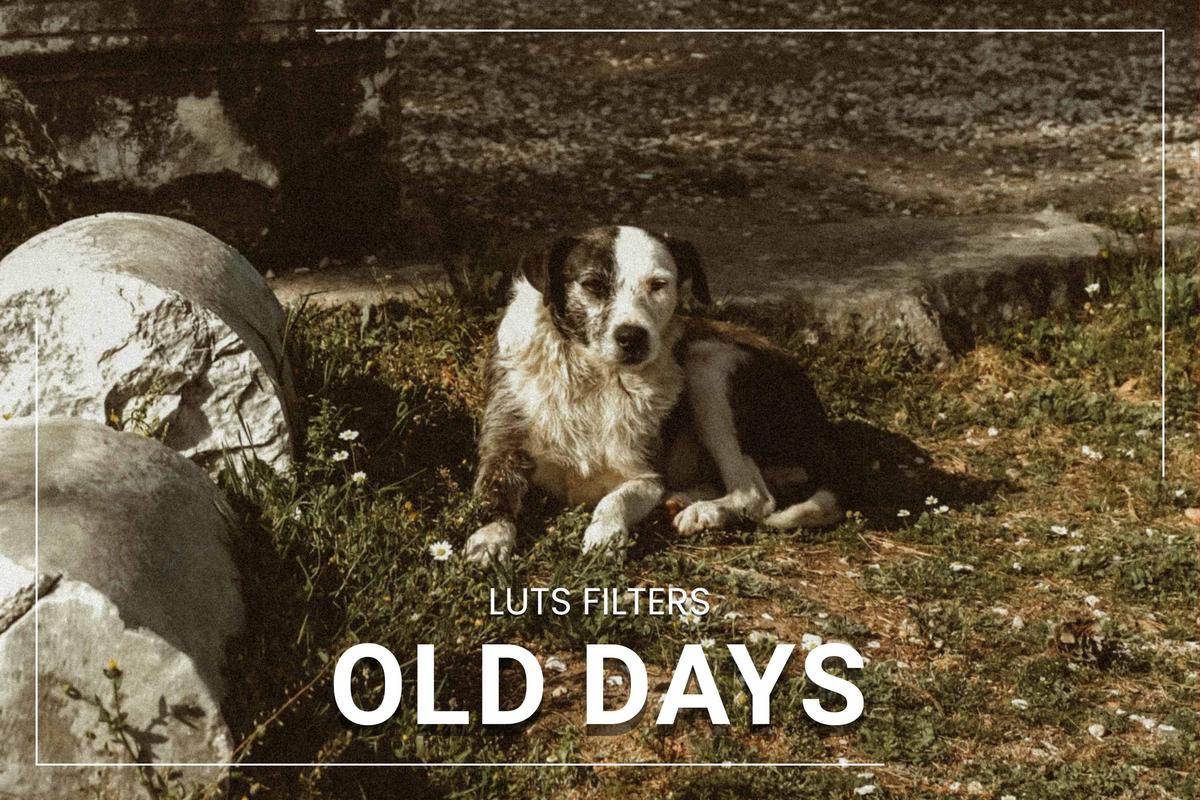 30 Old Days LUT Collection