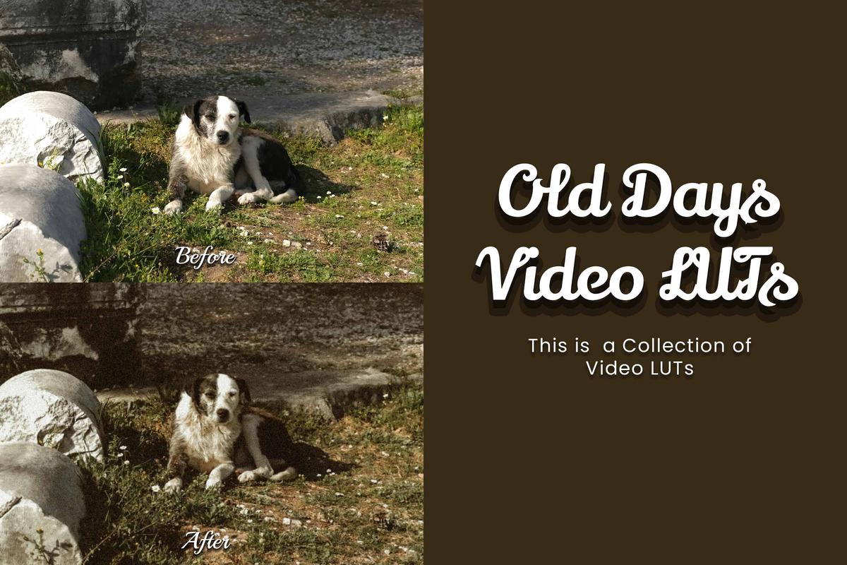 30 Old Days LUT Collection