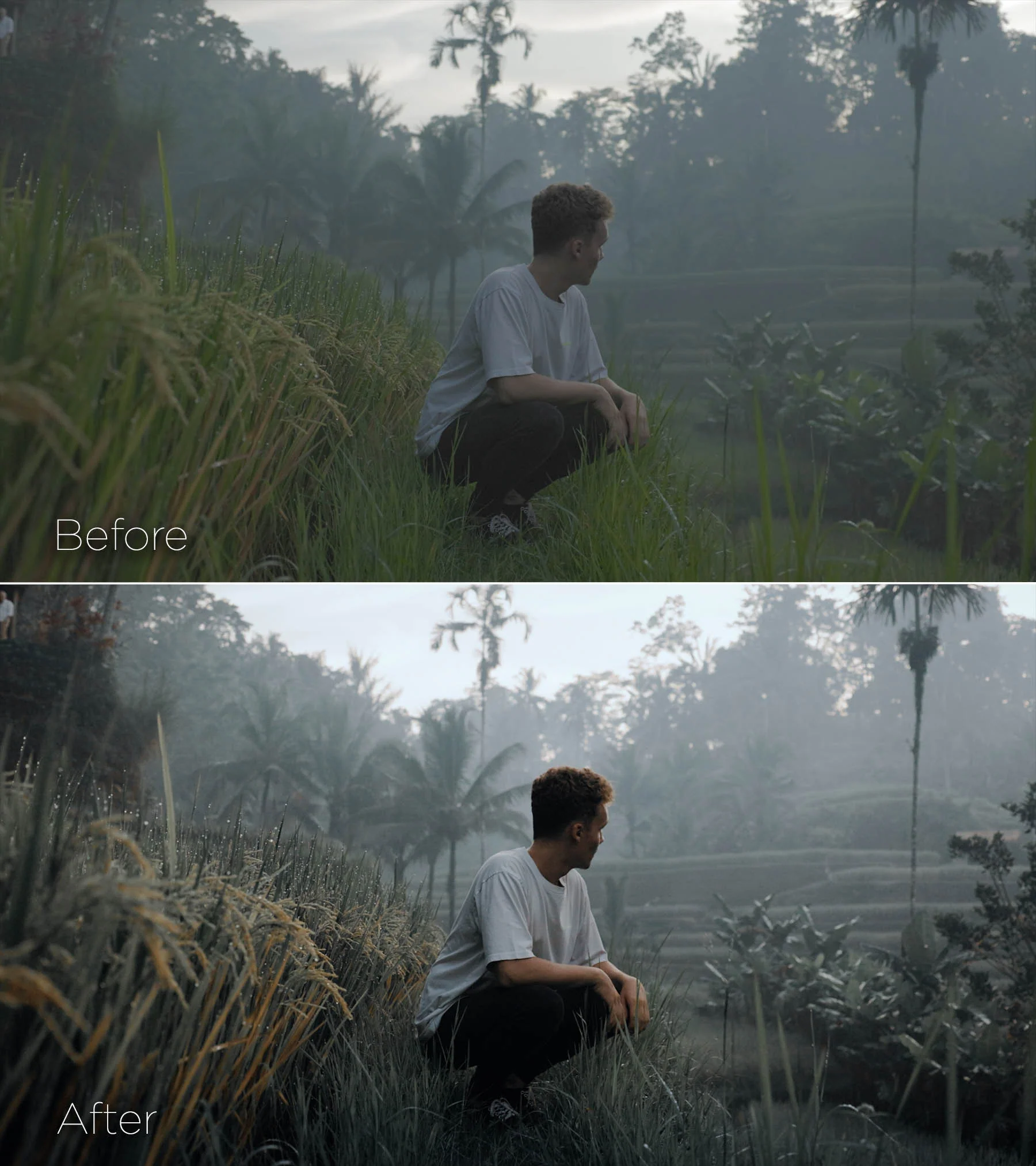 Pixelbae Master LUTs Collection ver 1