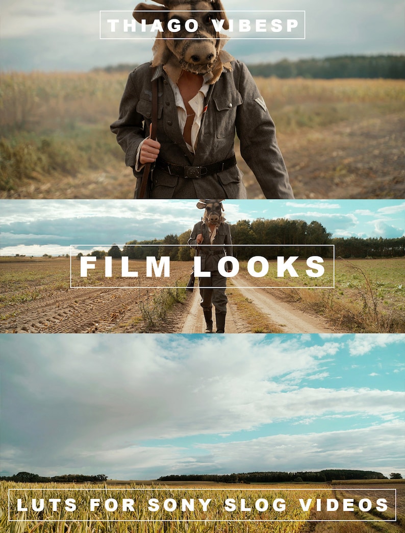 FILM LOOK Premium Sony S Log LUTs Collection