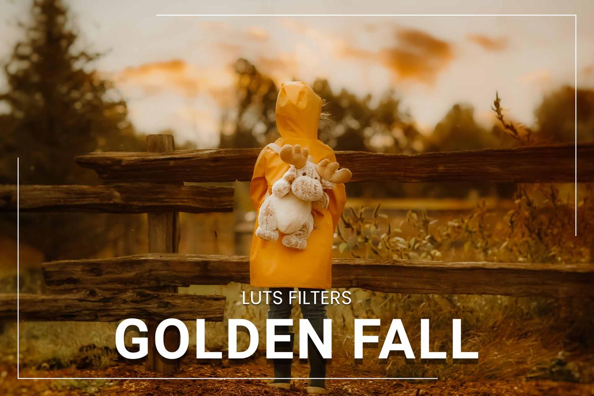 30 Golden Fall LUT Collection