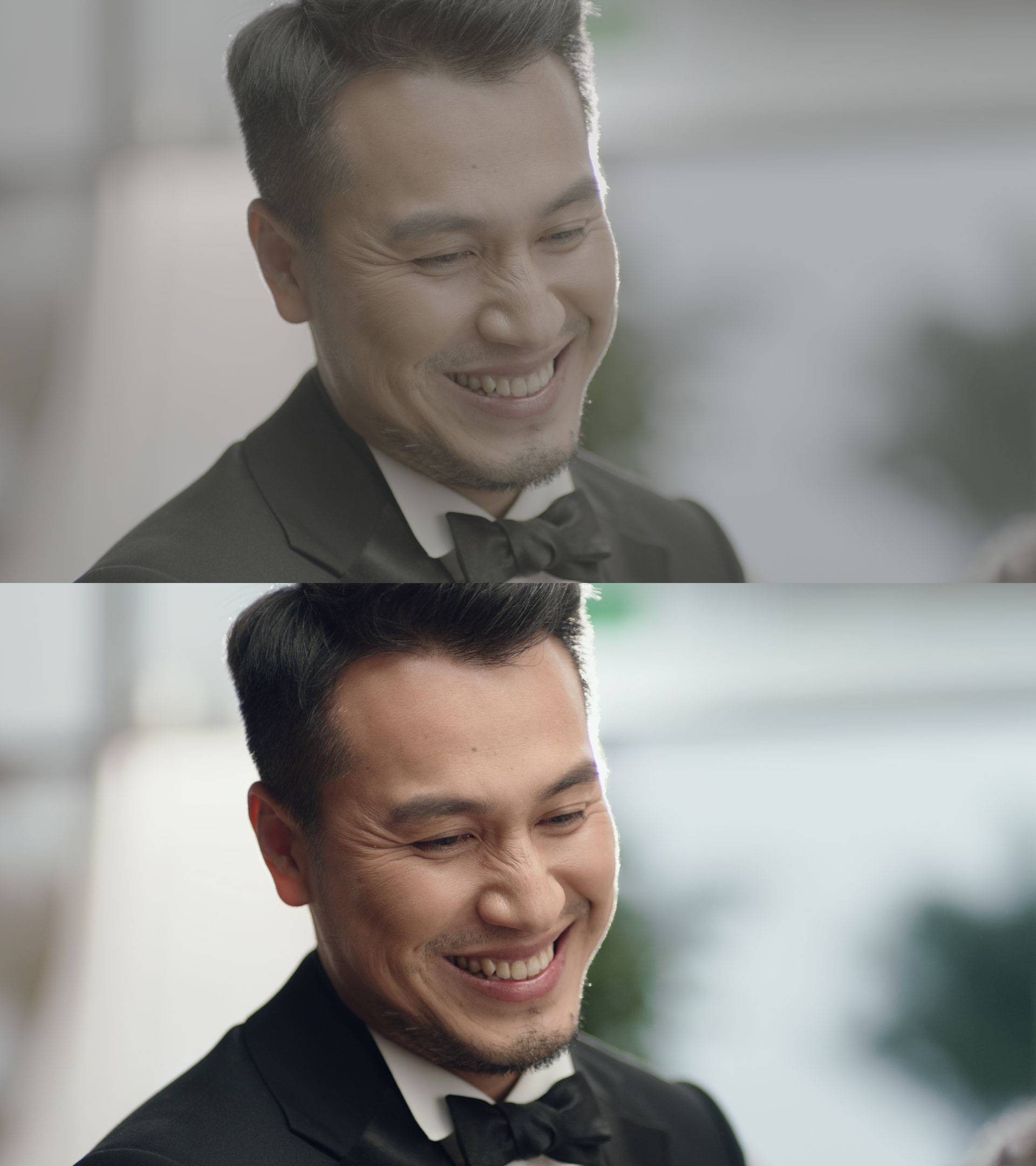 LUTs Commercial vol 1 Beauty Style