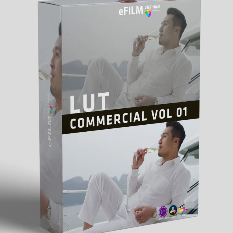 LUTs Commercial vol 1 Beauty Style