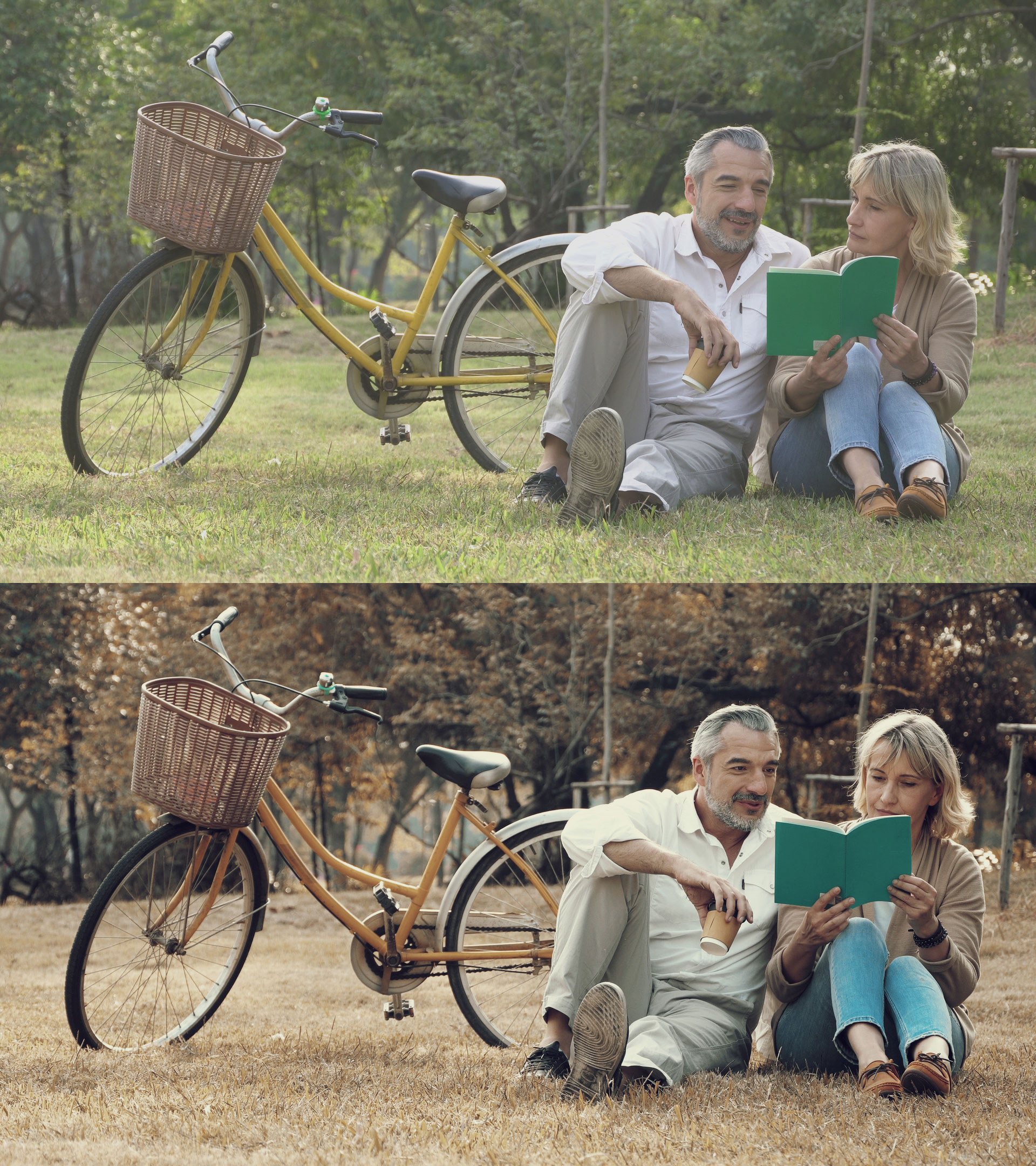 LUTs Destaturation Style Pack