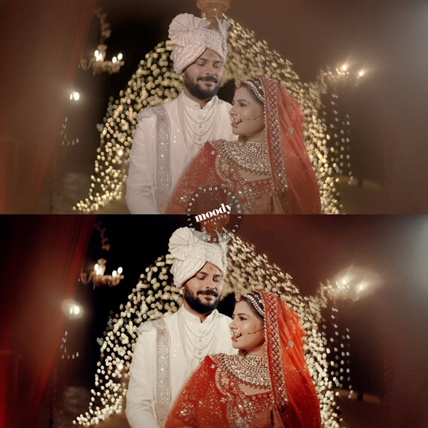 Premium Wedding LUTs