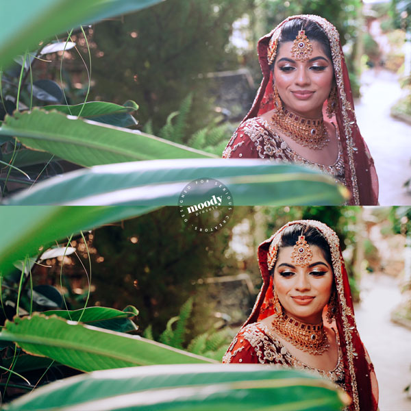 Premium Wedding LUTs