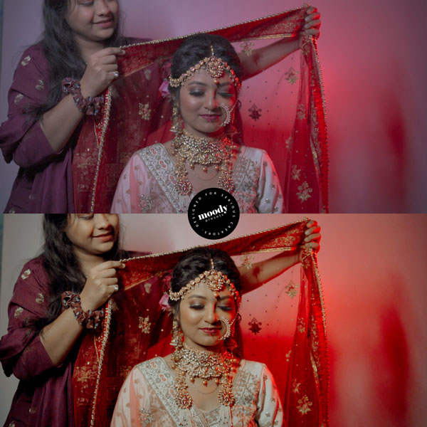 Premium Wedding LUTs