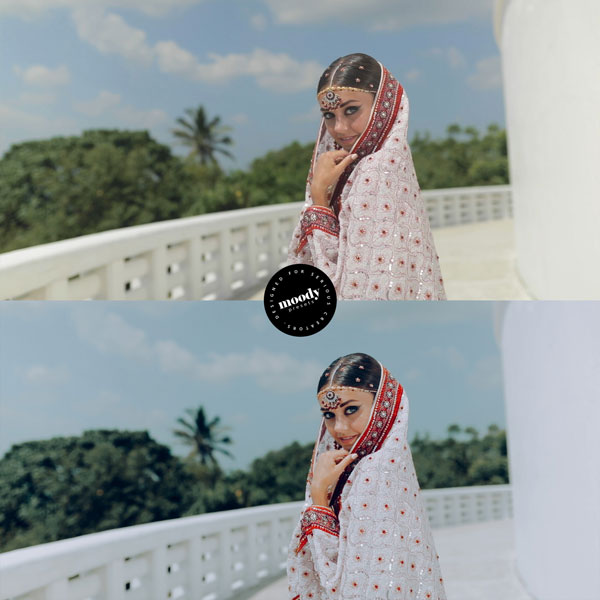 Premium Wedding LUTs