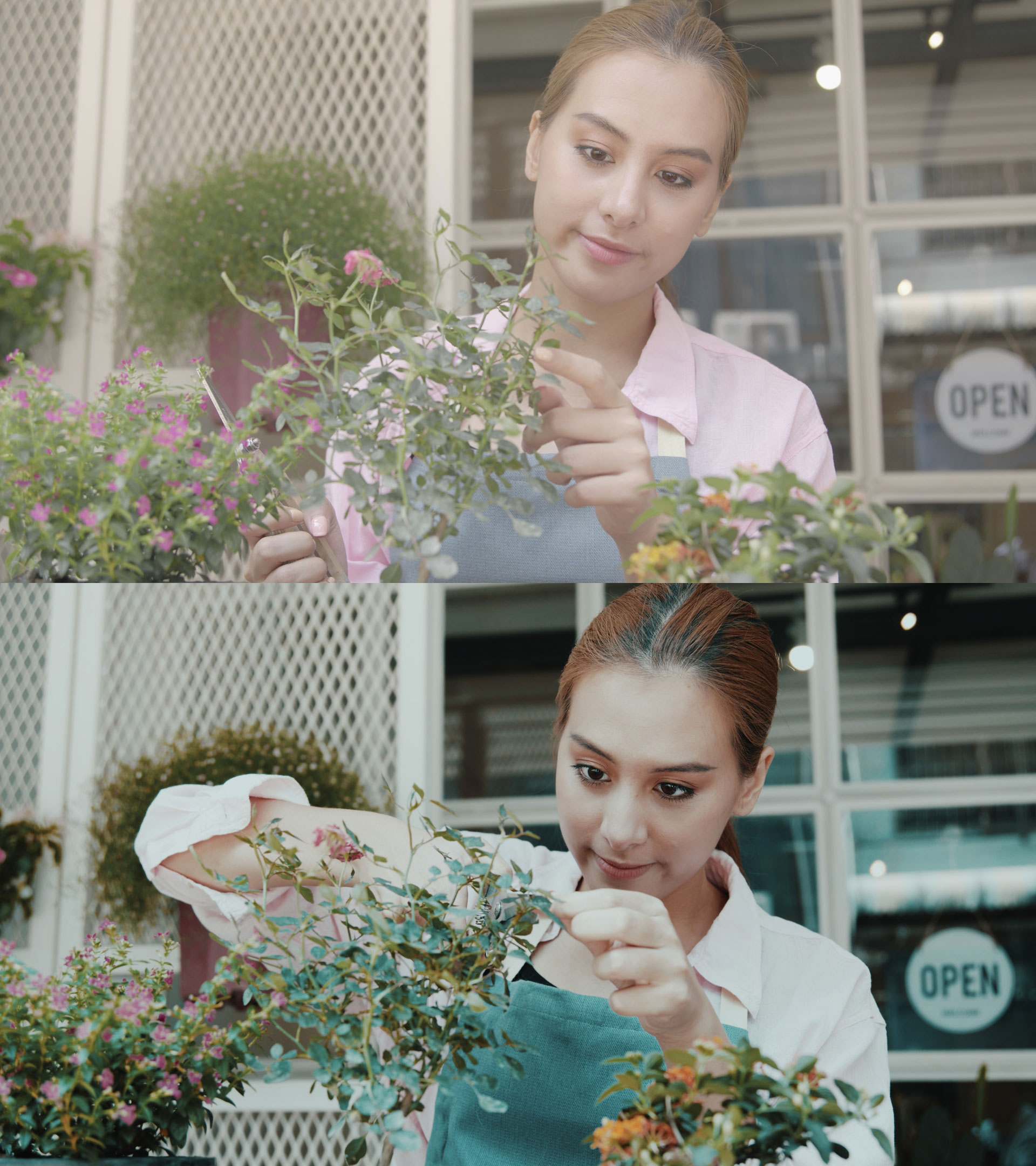 LUTs Vibrant Style Pack