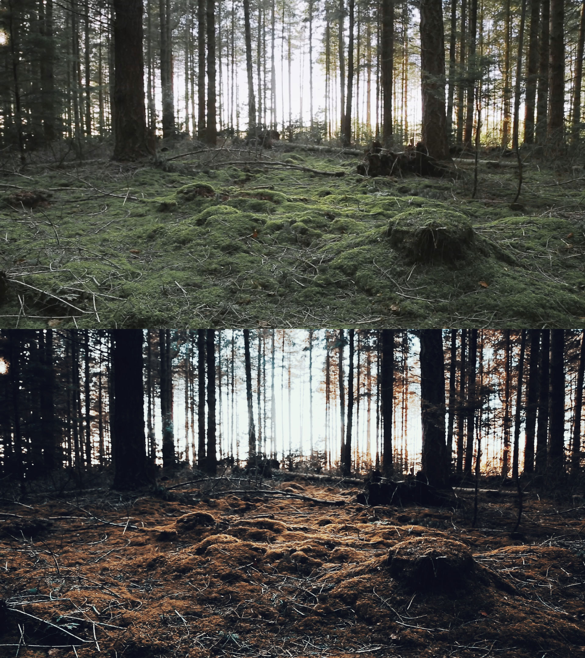 LUTs Destaturation Style Pack